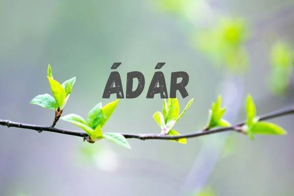 Nem azonnali öröm – Mit tanít a Zohár ádár hónapjáról?